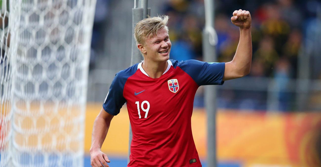 导出回合停 导出回合停